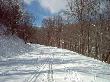 Cross Country Ski Tracks On Blue Ridge Pwky Near Stewart's Knob